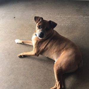 Meet your Posher, Chris